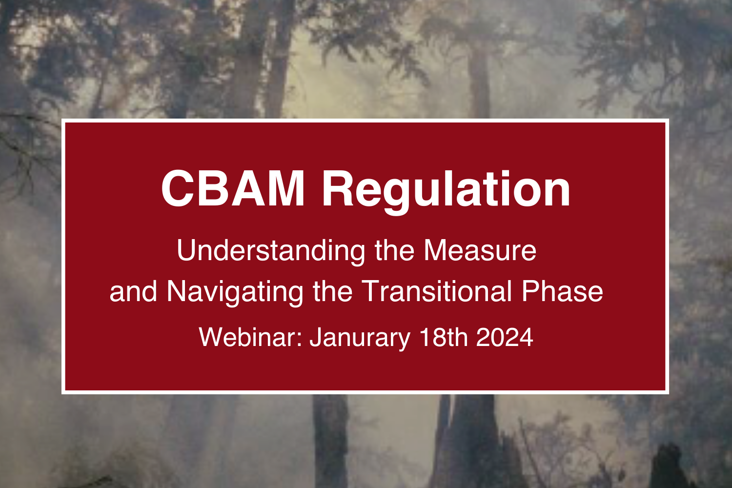 Webinar: CBAM Regulation – Understanding the Measure and Navigating the Transitional Phase